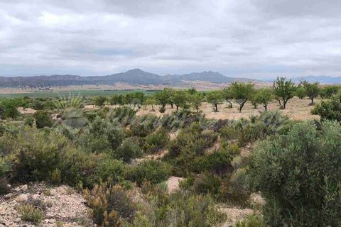 Landejendom i Caudete, Albacete, Caudete - € 39.000 | Ref: SF0580 - foto 20